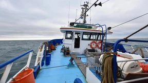 Ohne Abkommen muss Macron den Zorn der Fischer fürchten