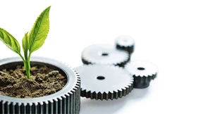 Millenials und die Suche nach dem Sinn