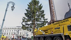 Wiesbaden wird zur Weihnachtsstadt