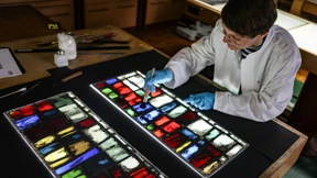 Notre Dame bekommt ihre Fenster zurück 