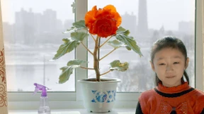 Die Tränen der Revolution