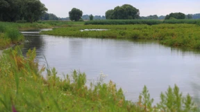 Deutsche Flüsse in schlechtem Zustand