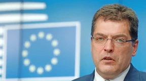 Ein Slowene in Brüssel