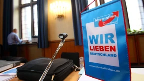AfD vor dem Aus?