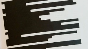 Absurde Anonymisierungen