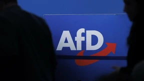 Mindestens elf AfD-Mandatsträger wegen Gewalttaten verurteilt