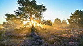 Defizite im Naturschutz in Deutschland
