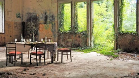 Dschungelstadt im Dornröschenschlaf