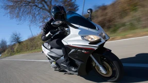 Zur Vernunft bringt den keiner mehr