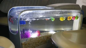 Neues von Apple und aus Detroit