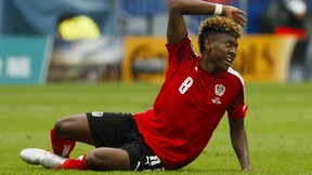 Der Fluch der Vielseitigkeit 