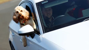 Amerikaner gibt seinem Hund Fahrstunden