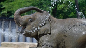 Abkühlung gefällig?