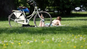 Nächste Woche kommt der Hochsommer