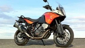 Blinker HI LI und die Antwort Austrias