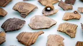 Wo der Käse auf Fisch traf