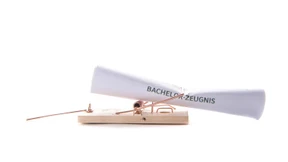 Die Qual der Master-Wahl