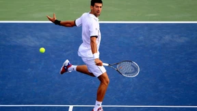 Verletzter Djokovic - Siegreicher Kamke - Erfolgreiche Eisbären