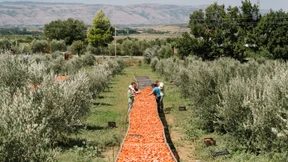 Hinter jedem Strauch ein Geheimnis für Genießer
