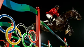 Dramatischer Pferdetod im Parcours