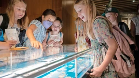 Kinder übernehmen Museum