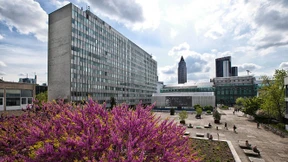 Architekturwettbewerb für Hochschule und „Haus der Künste“