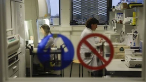 Kamelblut mit heilsamen Spätfolgen