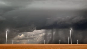 Finanzmärkte im Klimawandel