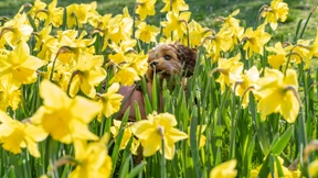 Zwei Wochen zwischen Stau bis Schwimmbad