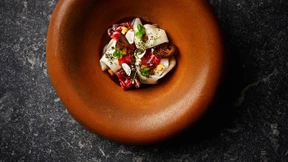 Das Reinheitsgebot des Himmelsstürmers