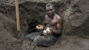 Früchte des Vulkans