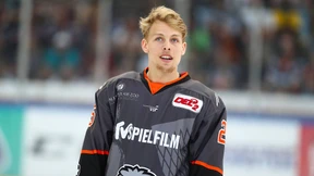 Löwe auf Fortbildung