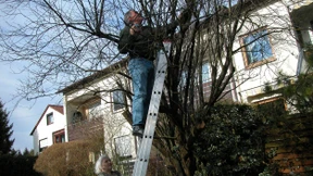 Altersvorsorge ohne Inflationsangst