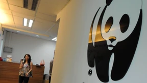 „Der WWF ist schizophren“ 