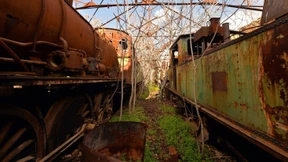 Wo rostige Züge mit der Landschaft verwachsen