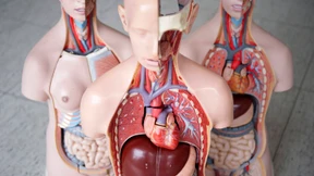 „Man muss Patienten zuhören“