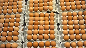 Millionen belastete Eier zurückgerufen