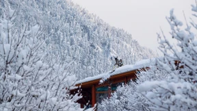 Wenn der Schnee Urlaub und Arbeit verhindert