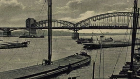 Ein Aal-Problem am Rhein