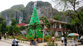 Weihnachtsbäume in der Welt