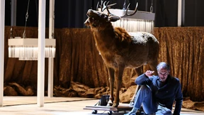 Soll man jetzt Ja oder Nein sagen?