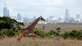 Die Zukunft der Globalisierung