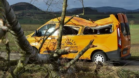 Mädchen durch umstürzenden Baum verletzt