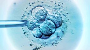 Hier sind Mediziner genauso gefragt wie Politiker und Philosophen