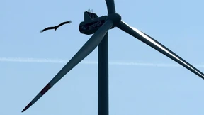 Odenwald-Kommunen ziehen gegen Land den Kürzeren