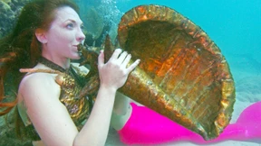 Konzert für Fische und Korallen