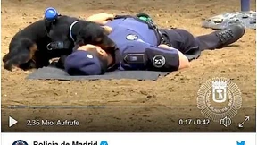 Ein Polizeihund versucht sich an Herzdruckmassage