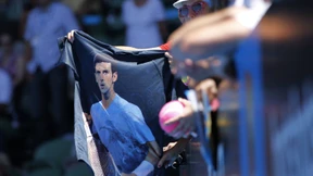 Lisicki, Kerber und Petzschner weiter