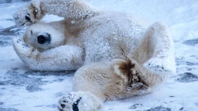 Kältewelle in Deutschland