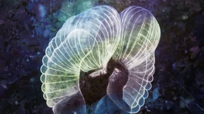 Mehr ist einfach mehr